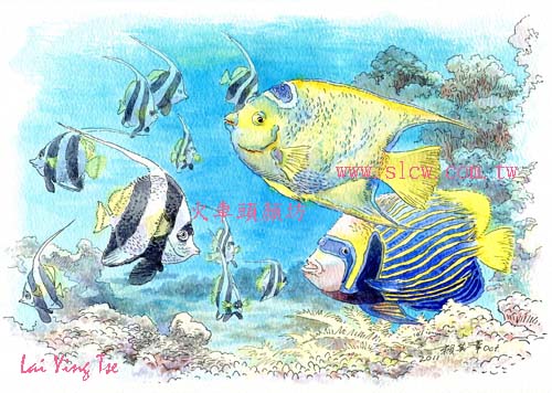 熱帶魚_賴英澤 繪_火車頭顏坊