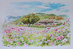 波斯菊花海_賴英澤 繪_Calliopsis painted by Lai Ying-Tse