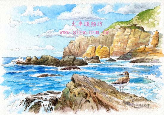 東北角海岸之看海的日子