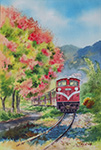 505. A Train With Koelreuteria elegans(Taiwanese rain tree) in Zhuqi _竹崎欒樹火車