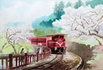 PCR071_阿里山櫻花季_Alishan Sakura Season_火車頭顏坊明印片